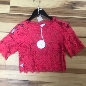 Pink Lace Crop Top